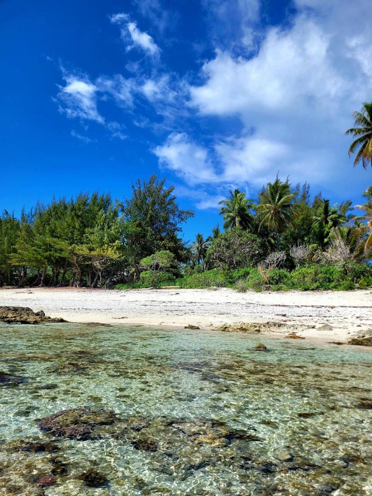 Un Ecrin De Paix Au Soleil Et Proche De La Mer Moorea Zewnętrze zdjęcie