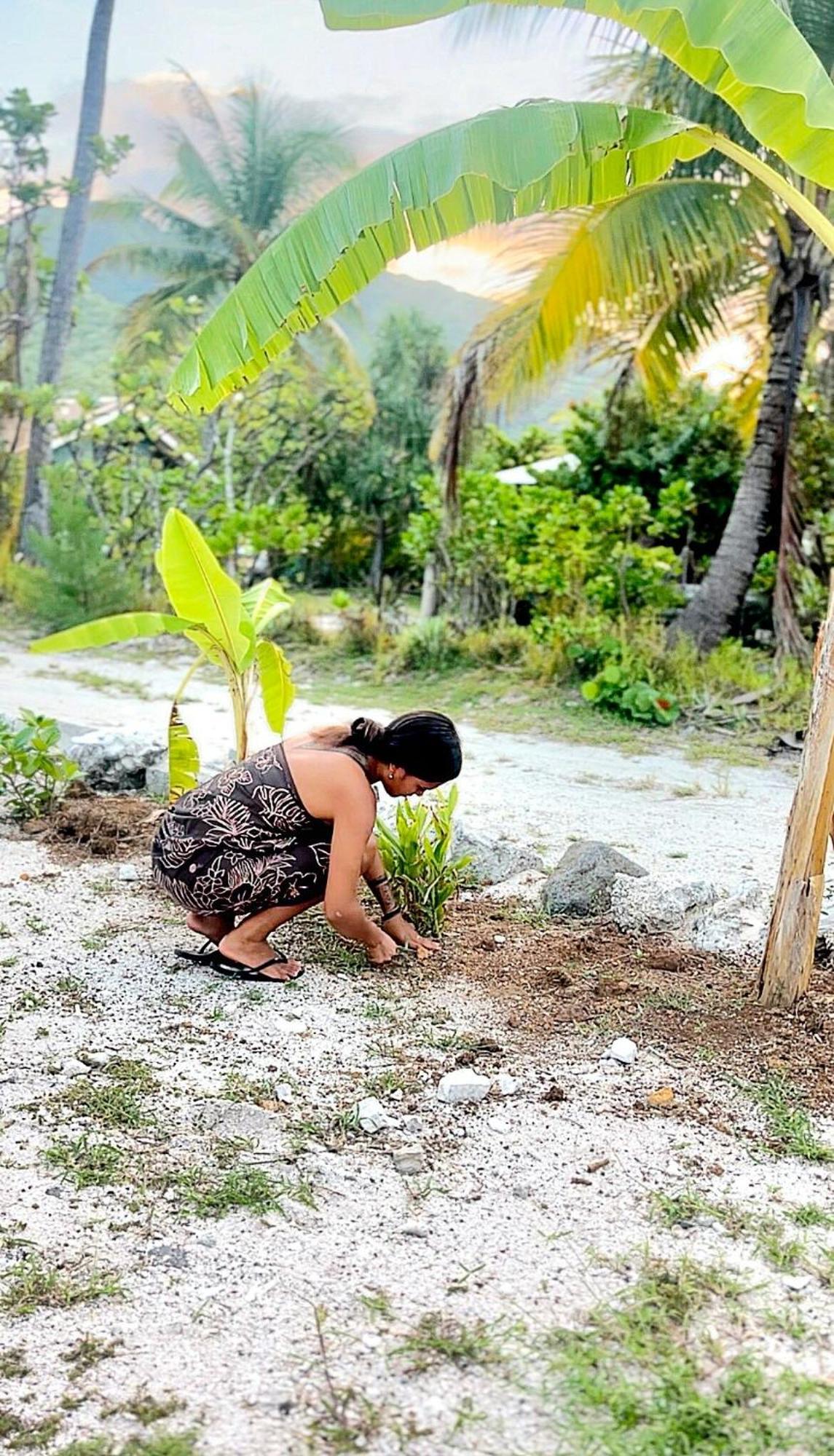 Un Ecrin De Paix Au Soleil Et Proche De La Mer Moorea Zewnętrze zdjęcie